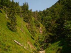 2013-07-20_Regina-F-Rau_Kochel-Rabenkopf (318).JPG